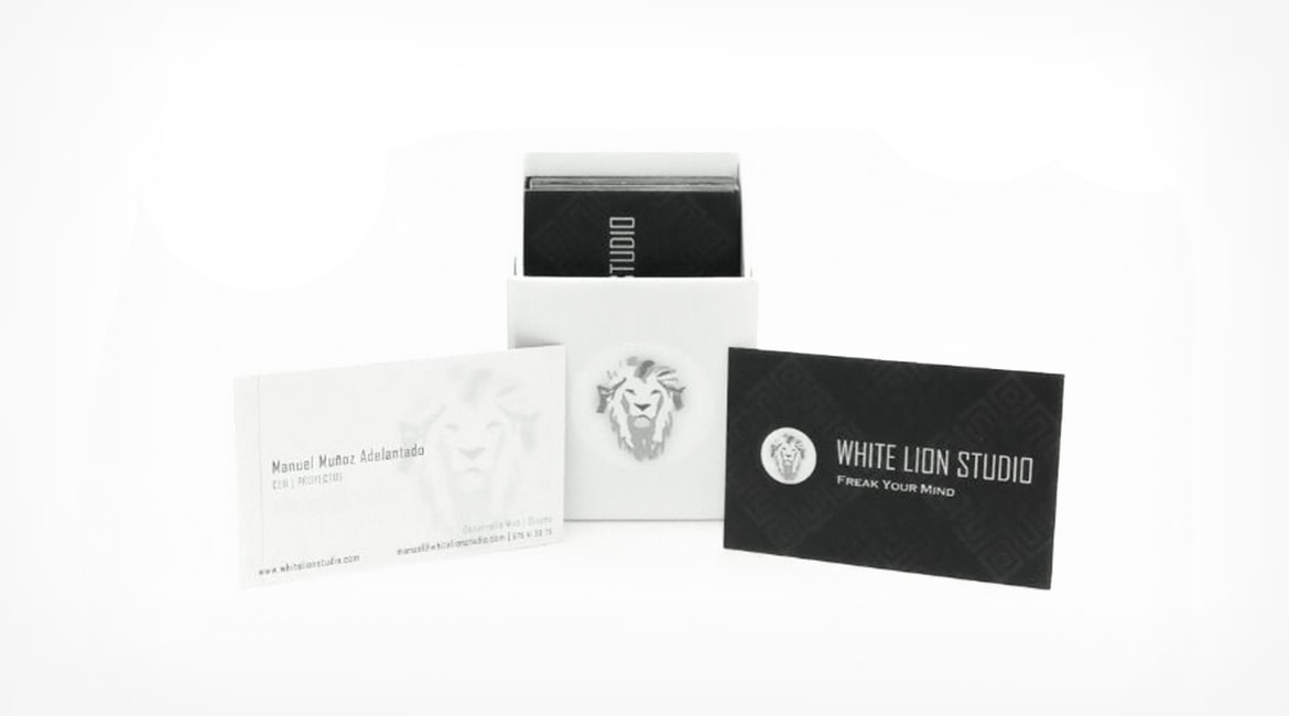 Agencia de Marketing - White Lion Studio | Páginas Web | Tienda Online | Seo | Publicidad | Marketing Digital 11 Agencia de Marketing - White Lion Studio | Páginas Web | Tienda Online | Seo | Publicidad | Marketing Digital
